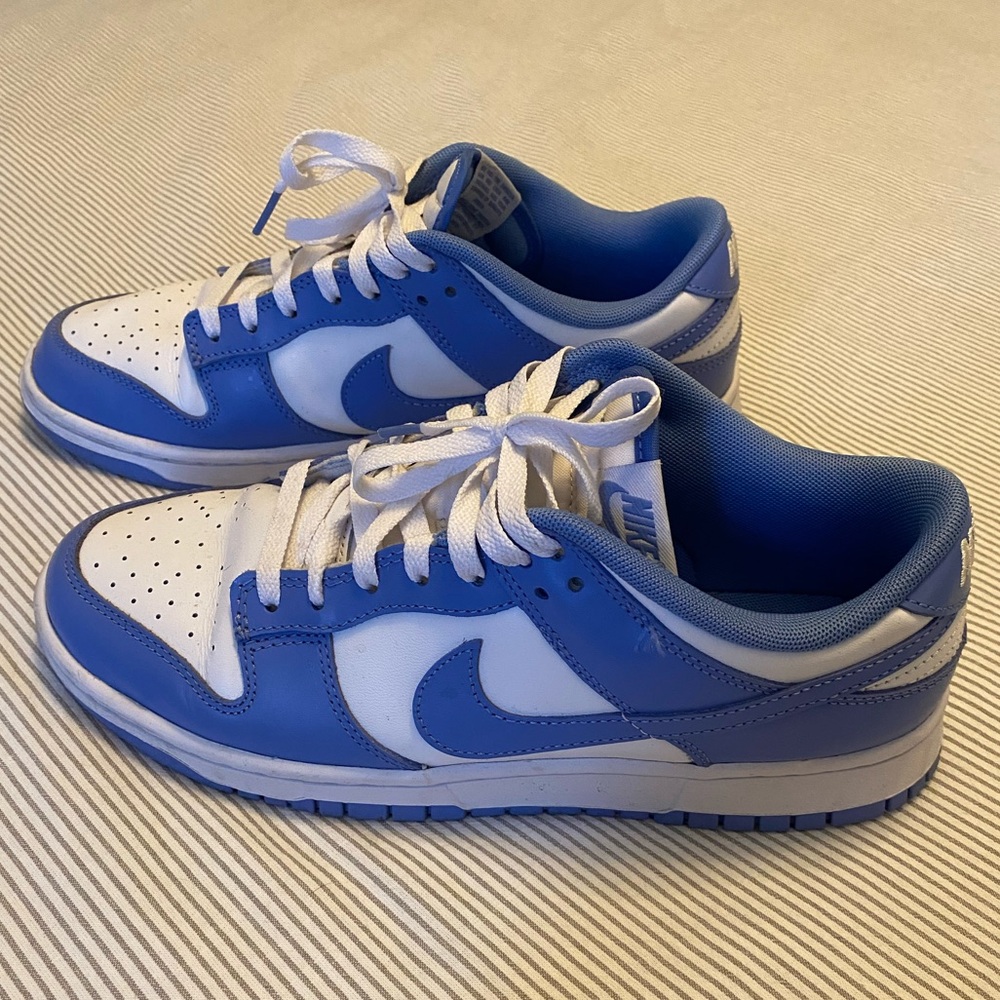 Polar Nike Dunks Men’s US 9.5 ❄️